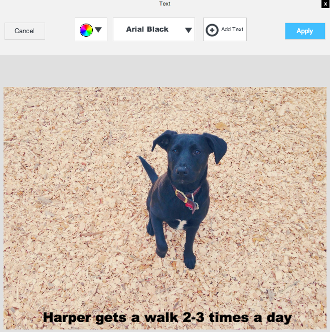 New! Use HubSpot's Image Editor for Better Visual Content