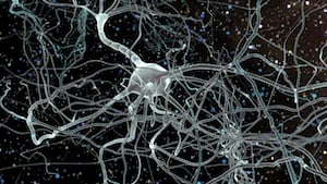 neurons-brain-signals-logos