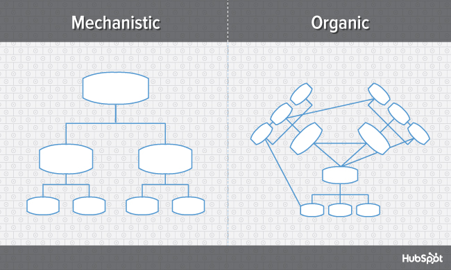 org charts mechanistic vs organic blog.jpg?width=669&name=org charts mechanistic vs organic blog - 9 Types of Organizational Structure Every Company Should Consider