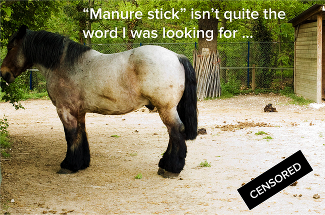 horse_manure