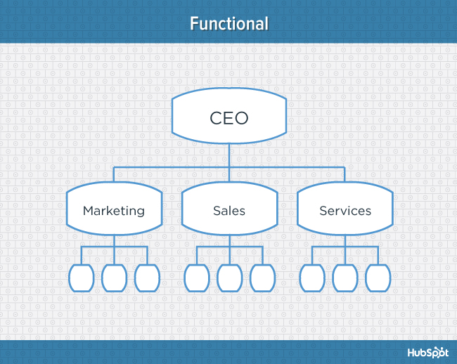 Blue diagram of functional organizational structure