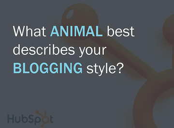 animal blogging