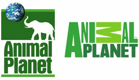 animalplanet