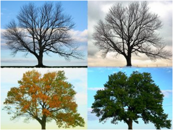 change management for marketers