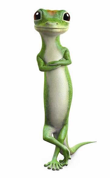 the geico gecko