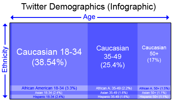 twitter demographics