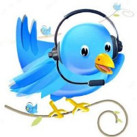 twitter customer service bird