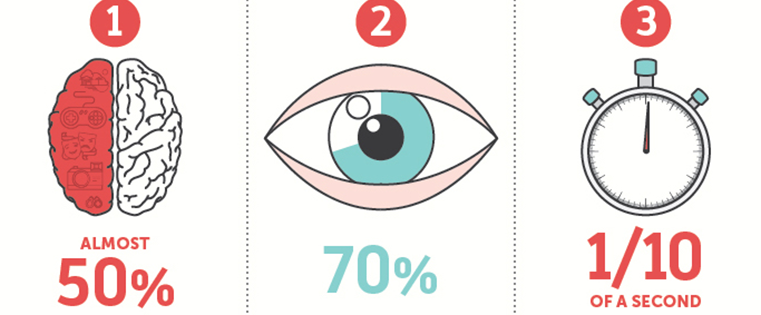 The Mechanics of the Brain (Infographic)