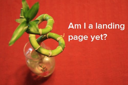 What Is a Landing Page? [FAQs]