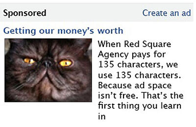 red-sqaure-facebook-cat