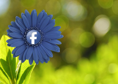How to Embed a Facebook Post [Quick Tip]