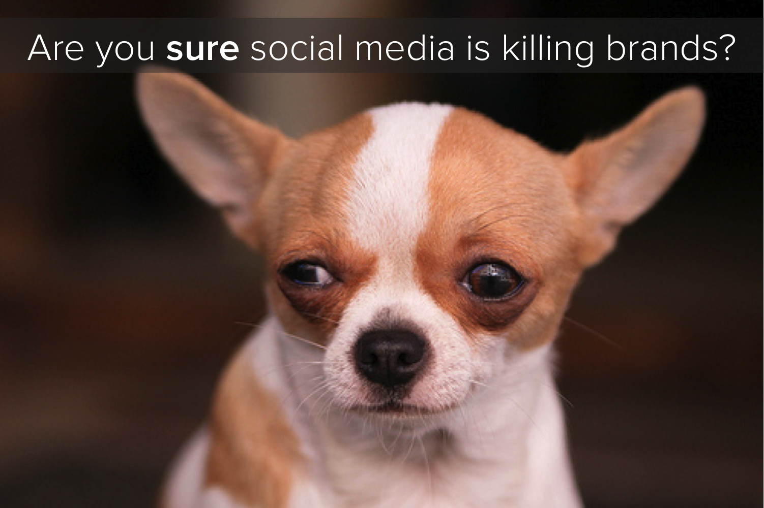 Is Social Media Killing Brands?