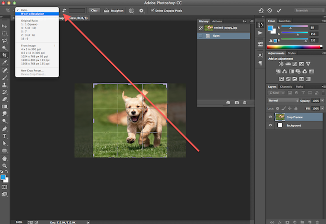How to Crop Images in Photoshop to Specific Sizes [Quick Tip]