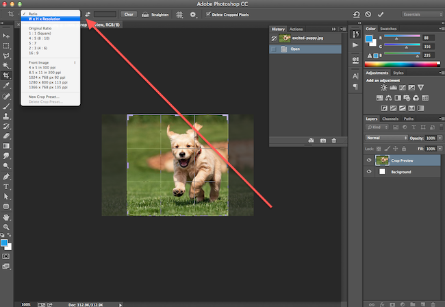 How To Crop Images In Photoshop To Specific Sizes Quick Tip