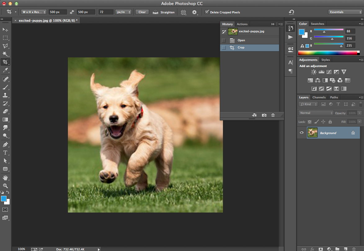 How To Crop Images In Photoshop To Specific Sizes [Quick Tip]