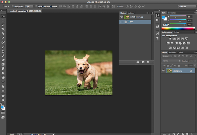 How to Add Text to an Animated GIF Using Photoshop [Quick Tip]