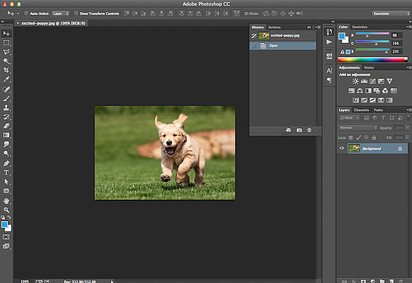 adobe photoshop - How to decrease the produced GIF size when