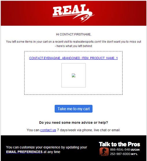abandoned cart email example