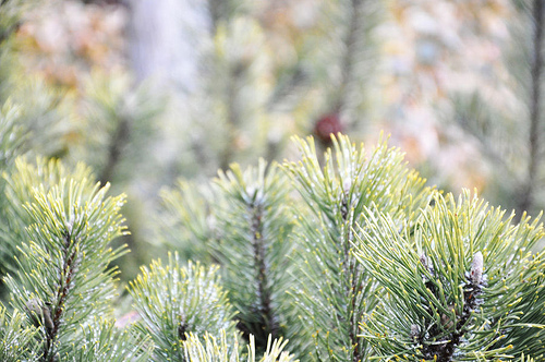 12 Ways to Evergreen Your Content