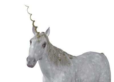 Unicorn DNA: What All the Best AdWords Advertisers Have in Common