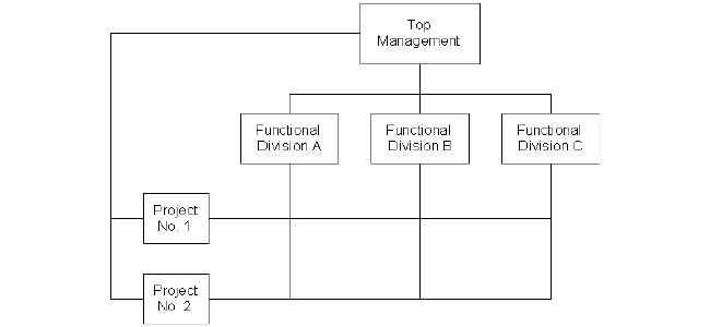 Matrixed_Org_Structure