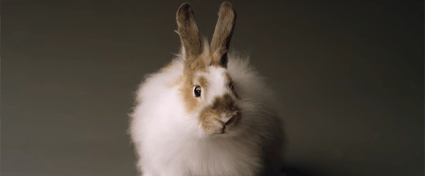 Snow Day Games & Rabbit Casting Calls: 5 of the Best Ads of the Week