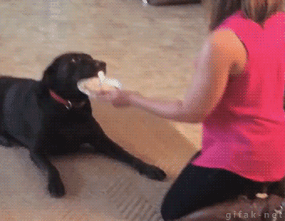 what-is-this.gif what-is-this.gif