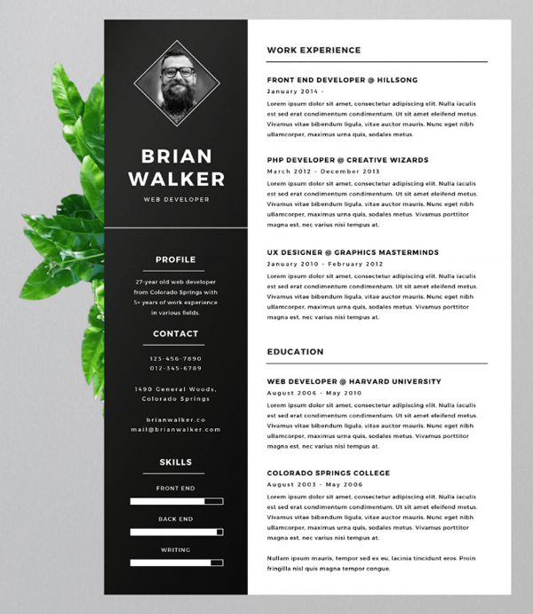 Creative resume template with vertical header and space for a headshot photo