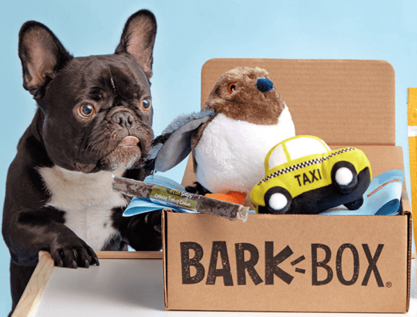corporate gifts for clients: barkbox