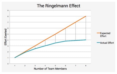 Ringelmann_graph.jpg