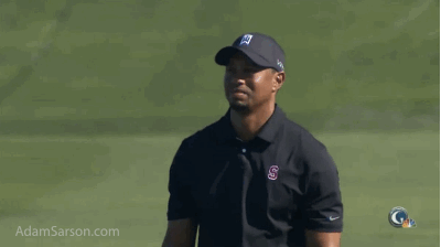 Tiger_Woods.gif