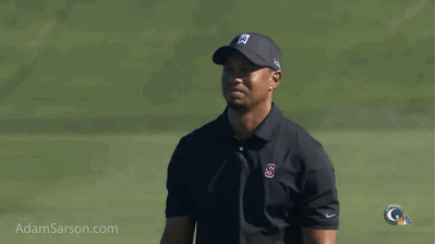 Tiger_Woods.gif Tiger_Woods.gif