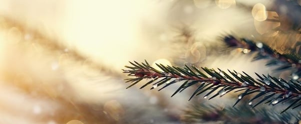 4 Ways Salespeople Can Make December Their Best Month