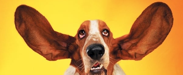 5 Techniques to Avoid the Dreaded Happy Ears Syndrome
