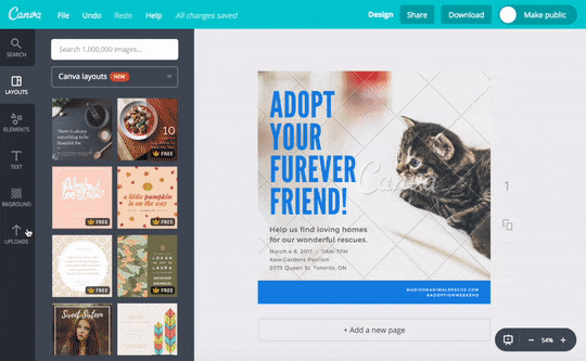How to Use Canva: An 8-Step Guide to Creating Visual Content