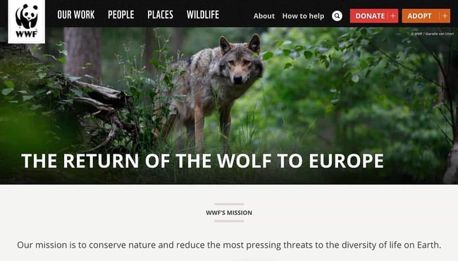accessible website examples: WWF