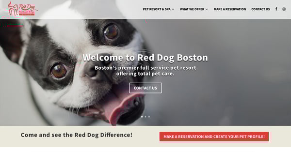 Red Dog's homepage uses the Avada theme.