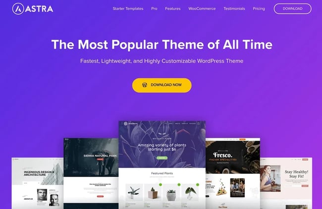 product page for the premium wordpress theme astra