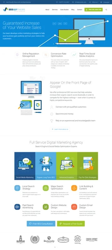 SEO WP theme website homepage explaining the features and benefits of the theme