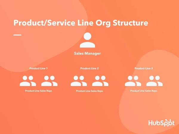 3 Product-Service-Line-Org-Structure