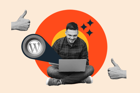 Professionals researching the best WordPress themes for their freelance websites.