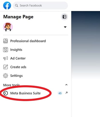 Screenshot of the business page with the Meta Business Suite tab circled in red;  facebook insights