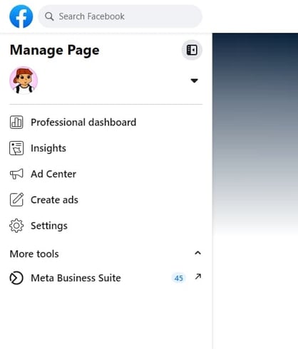 Screenshot of the business page menu;  facebook insights