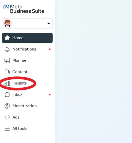 Screenshot of Meta Business Suite menu with Insights circled in red; Facebook Insights 