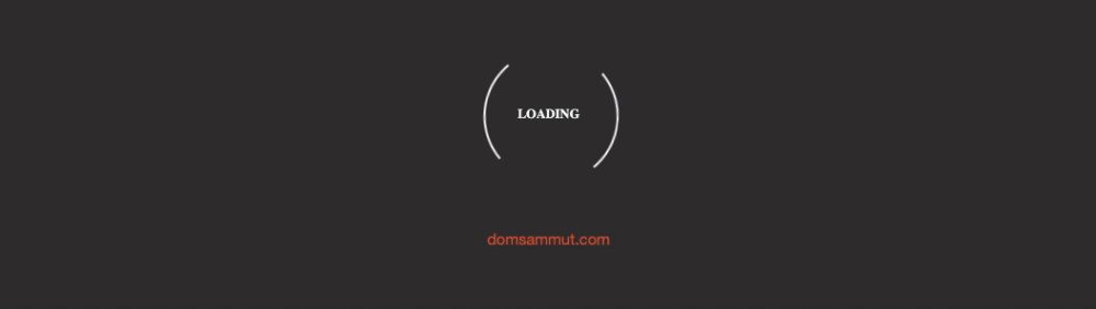 css loading animation: loading spinner with animated text example