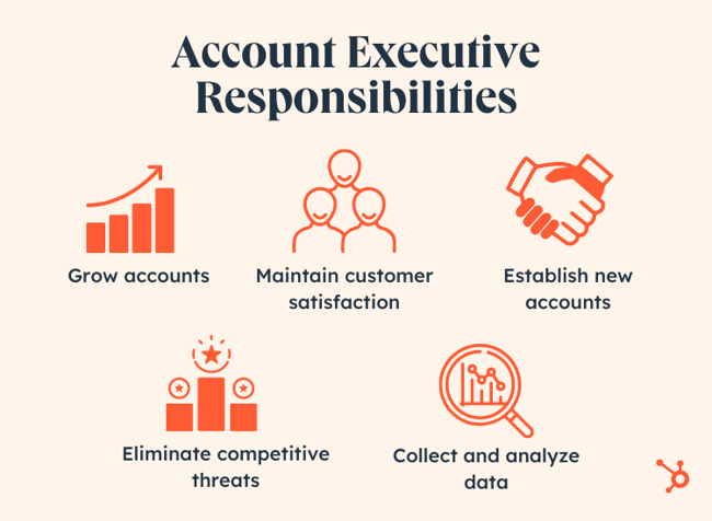 what does an account executive do