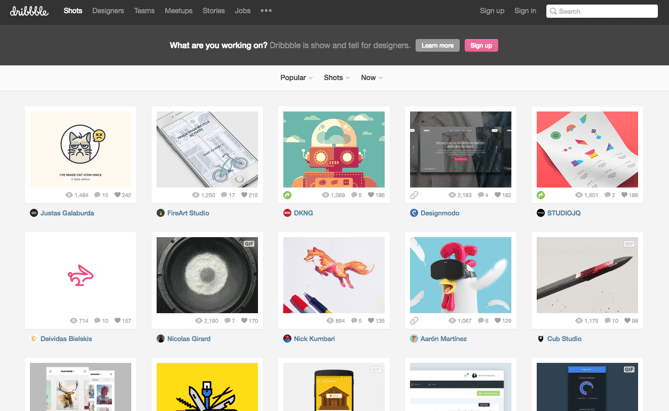 Kipp  Dribbble