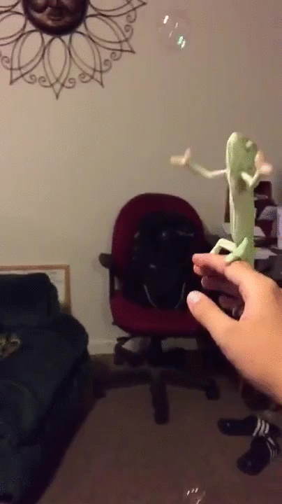 Analogy_GIF.gif Analogy_GIF.gif