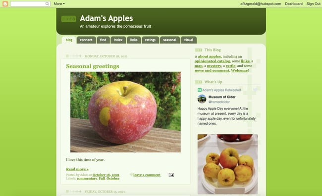 Blogger blog example: Adams Apples