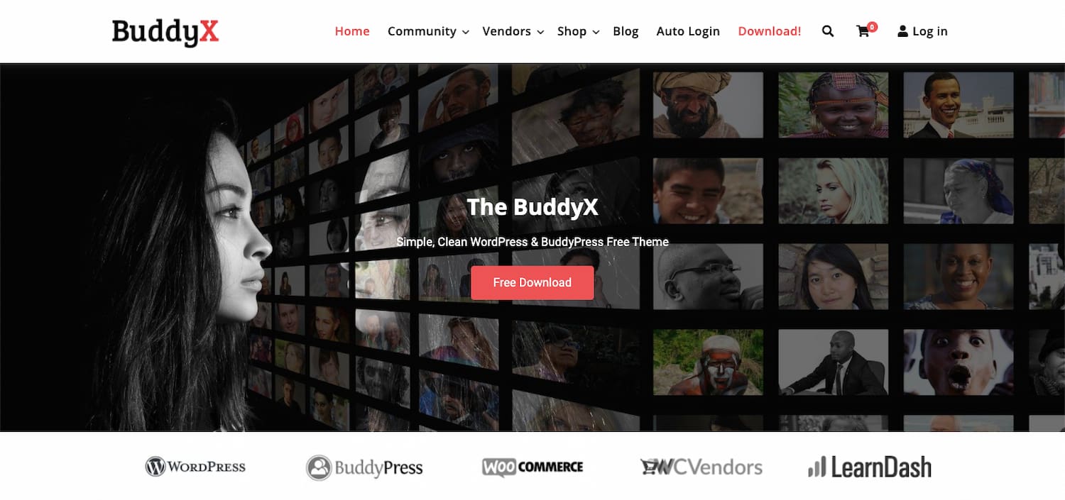 Buddyx demo shows a simple and clean BuddyPress theme for WordPress